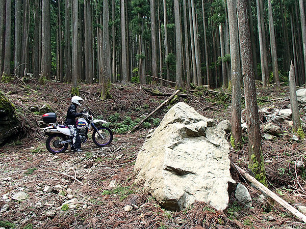 ｏｓａｍｕさん